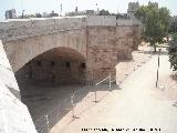Puente de Serranos. 