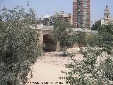 Puente de Serranos. 
