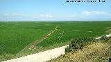 La Albufera. 