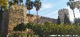 Alc�zar de Jerez. 