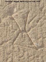 Marcas de cantero. Iglesia de San Pedro - Baeza