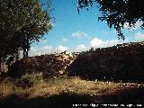 Yacimiento de El Ceremeo. Muralla y torren circular
