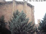 Iglesia de Santa Clara. bside