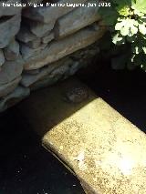 Aljibe del Comendador. Gal�pago leproso descansando en su interior