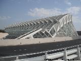 Ciudad de las Artes y las Ciencias. Museo de las Ciencias Prncipe Felipe. 