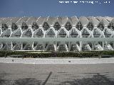 Ciudad de las Artes y las Ciencias. Museo de las Ciencias Prncipe Felipe. 