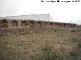 Carnicera de los Moros. Arcos