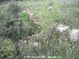 Oppidum de Encina Hermosa. Muros