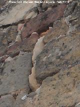 Torre�n de la Calle Ni�o Jes�s. Posible saetera