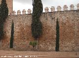 Alcazaba. Muralla Sur. Intramuros