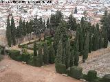 Alcazaba. Jardines. 