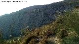 Sierra de Huma. 