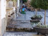 Fuente de la Tejera. 