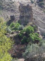 Castillejo. 