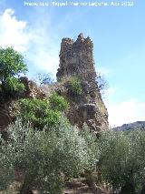 Castillejo. 