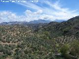 Castillejo. Vistas