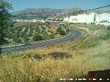 Carretera del Colesterol. 