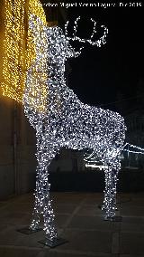 Palacio de la Diputacin. Iluminacin navidea