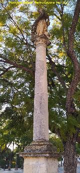 Columna. Alameda Vieja - Jerez de la Frontera