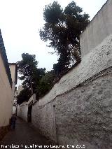 Calle Huerto del Can�nigo. 
