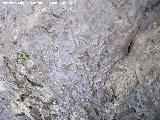 Pinturas rupestres de la Tinada del Ciervo II. Suelo gastado