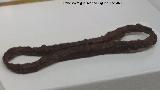 Palacio ibero del Cerro de la Merced. Eslab�n de cadena o de embocadura de bocado de caballo. Exposici�n en el Museo Ibero de Ja�n