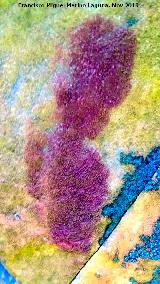 Pinturas rupestres del Cimbarrillo de Mar�a Antonia II. Tratada con Dstretch