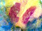 Pinturas rupestres del Cimbarrillo de Mar�a Antonia II. Tratada con Dstretch