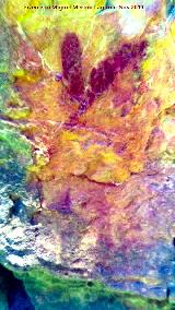 Pinturas rupestres del Cimbarrillo de Mar�a Antonia II. Tratada con Dstretch