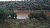 Charca de El Tostadero. 
