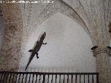 Iglesia de la Asuncin. Cocodrilo