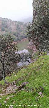 R�o Guadal�n. Ca��n de la Caldera