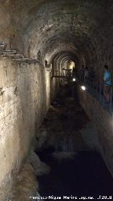 B�veda del R�o Cerezuelo. 