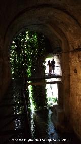 B�veda del R�o Cerezuelo. 