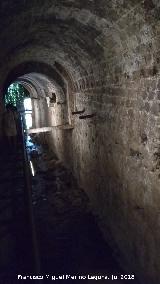 B�veda del R�o Cerezuelo. 