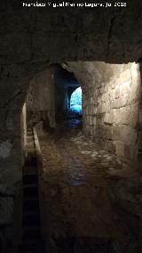 B�veda del R�o Cerezuelo. Ramal