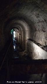 B�veda del R�o Cerezuelo. 