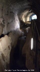 B�veda del R�o Cerezuelo. 