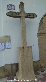 Cruz de San Ant�n. 