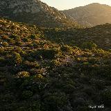 Cencerro. 