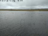 Laguna de los Perales. 