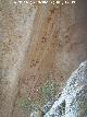 Pinturas rupestres de la Cueva de los Letreros II B