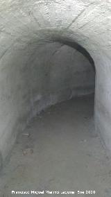 Refugio de la Gineta Refugio de la Gineta